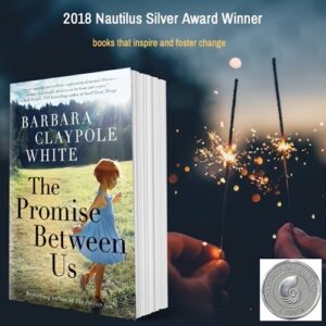 Book cover for The Promise Between Us with award details